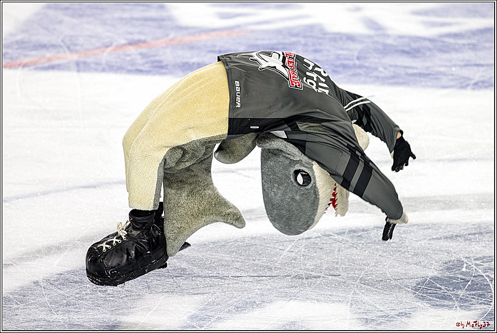 DEL Koelner Haie - Augsburg Panther, 14.09.2018